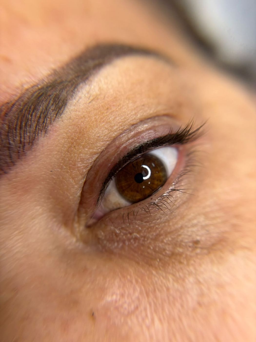 Micropigmentación de cejas